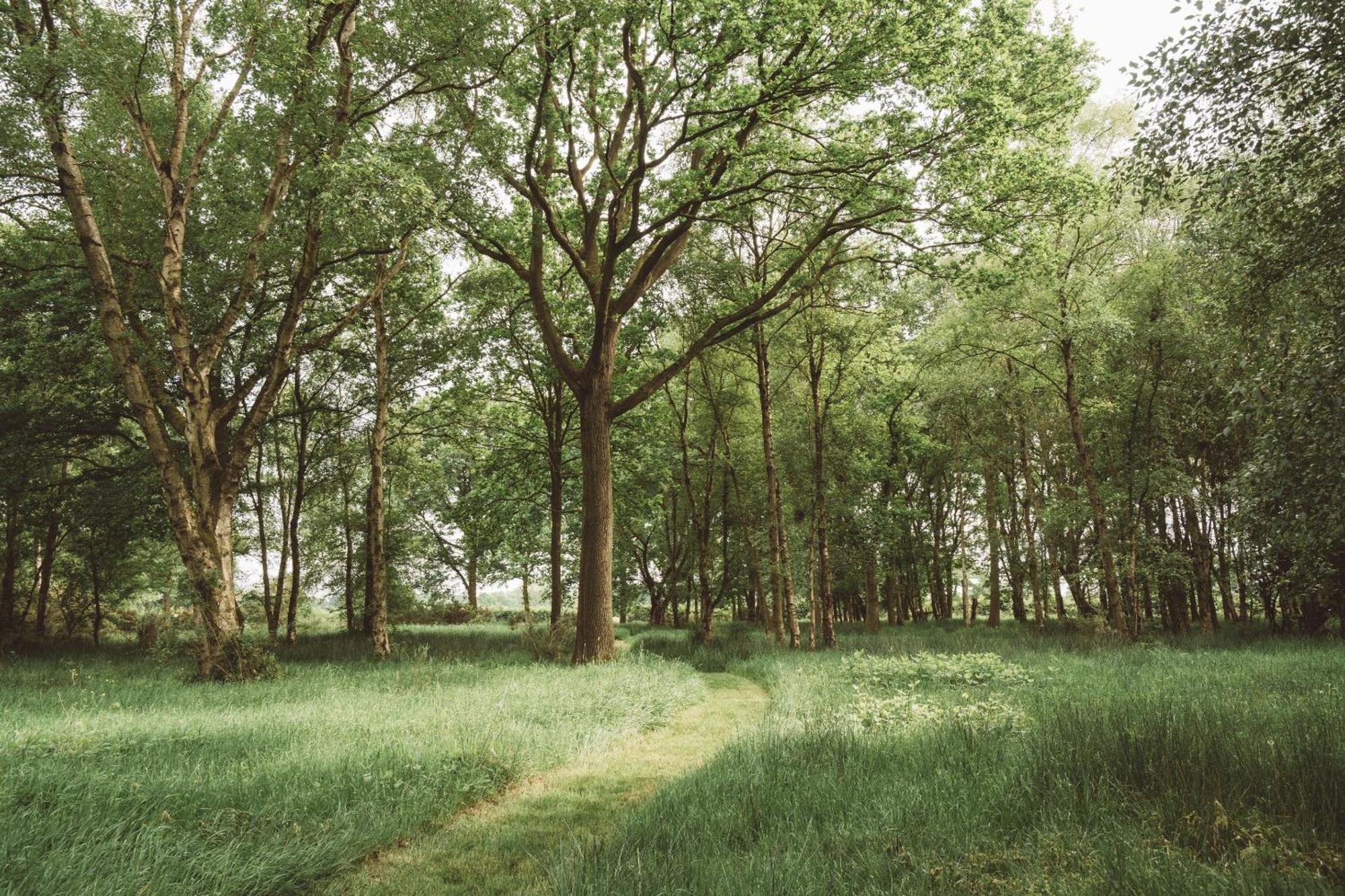 Ball Hall Farm By Wigwam Holidays East Cottingwith Esterno foto